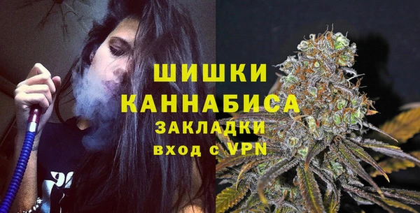 гашик Белокуриха