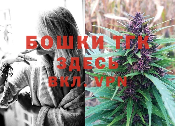 гашик Белокуриха